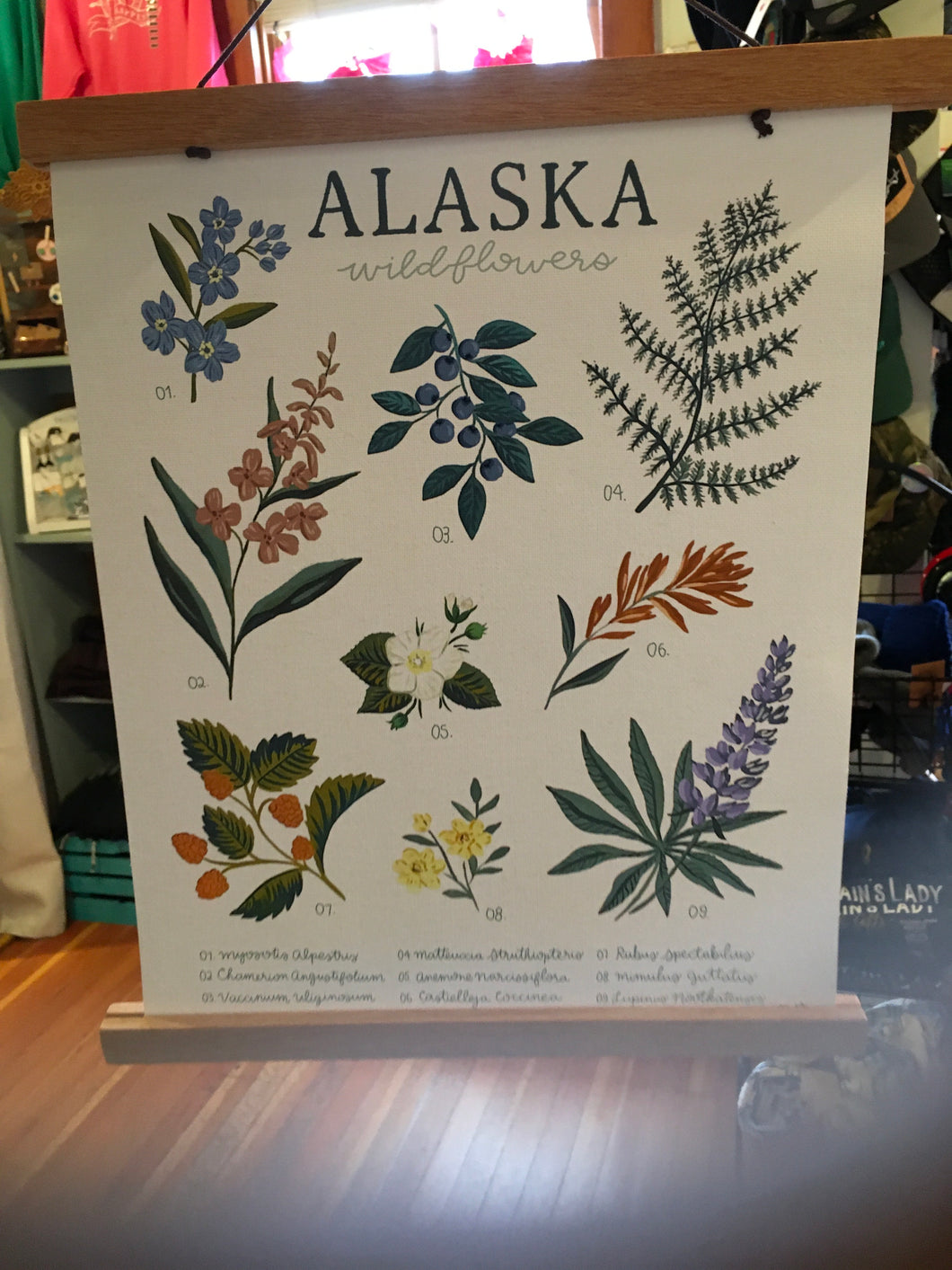 Alaska Wildflower Hanging Canvas