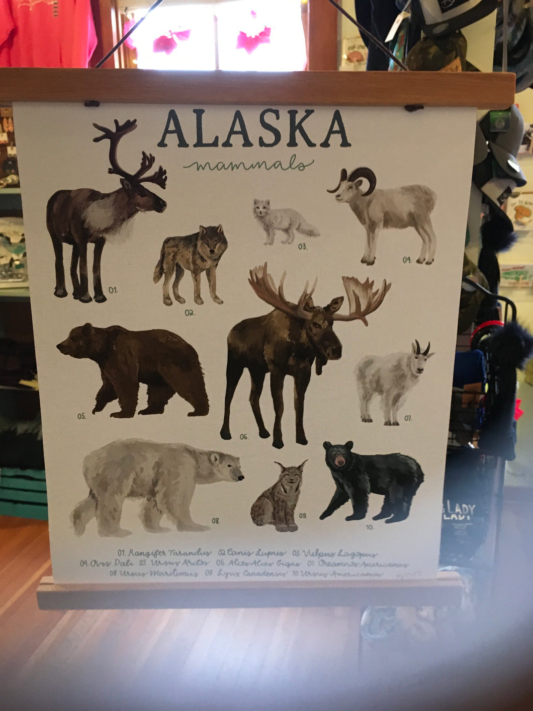 Alaska Mammal Hanging Canvas