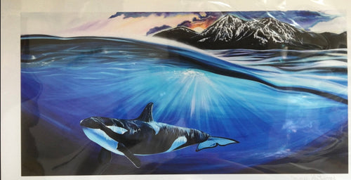 Orca Underwater Print by Jaynee Fritzinger
