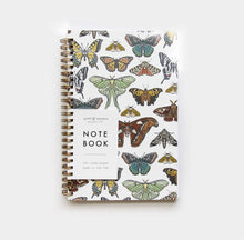 Root and Branch Notebooks
