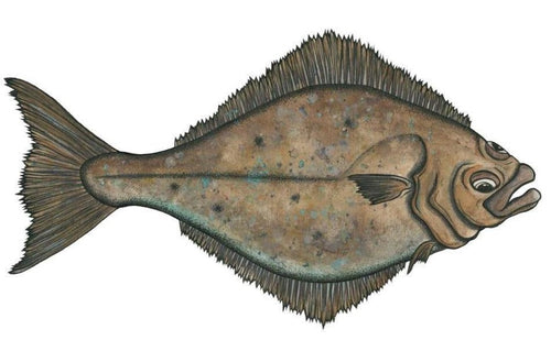 Jaynee Fritzinger - Framed Halibut 13