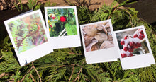 Glimpses of Ketchikan - Note Card Sets